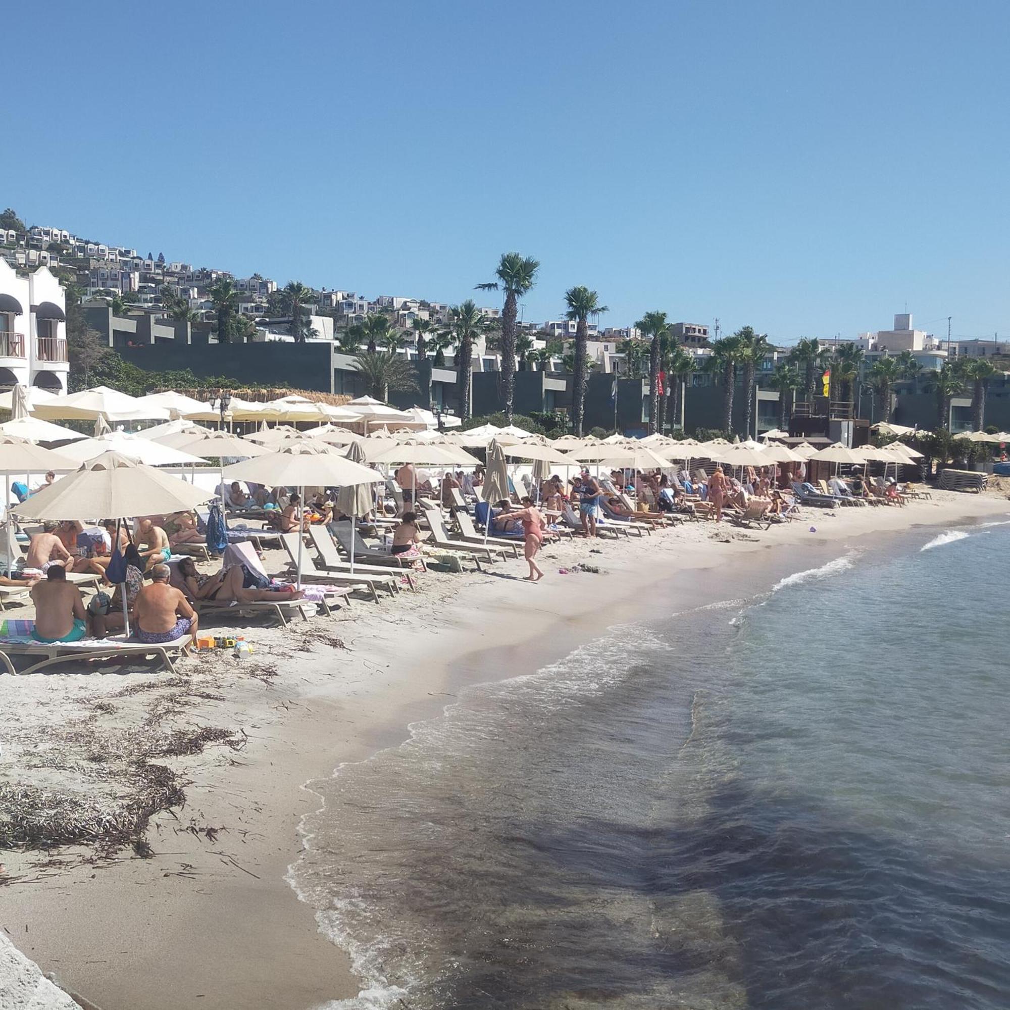 Small Beach Hotel Turgutreis Exterior photo